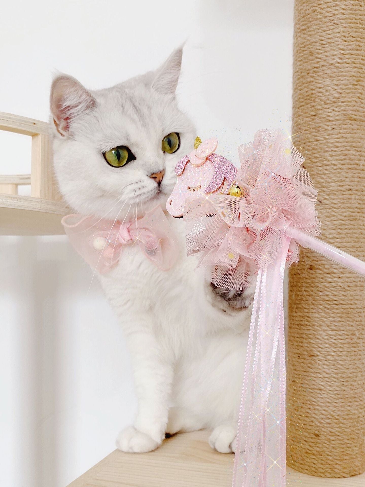 HKM-464019 Adjustable Flower Bow Tie Collar for Cats and Dogs - Pearl and Sequin Details, Safety Buckle, All Seasons