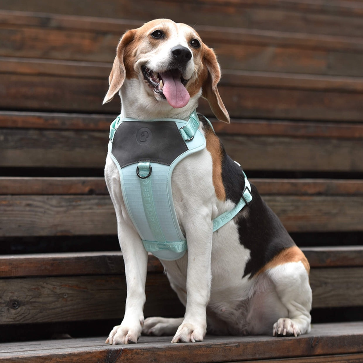 HKM-464659 Adjustable Step-In Embroidered Jacquard Dog Harness for Comfort and Safety