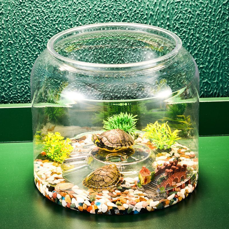 HKM-464979 Large Transparent Plastic Turtle Tank with Lid or Without Lid for Eco-Friendly Desktop Landscaping