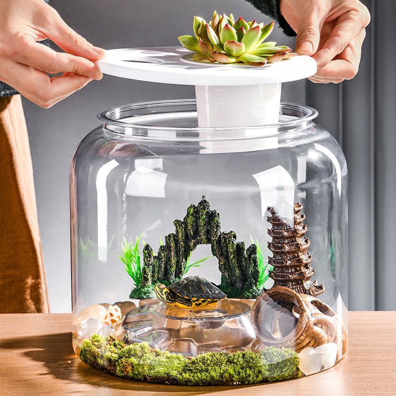 HKM-464979 Large Transparent Plastic Turtle Tank with Lid or Without Lid for Eco-Friendly Desktop Landscaping
