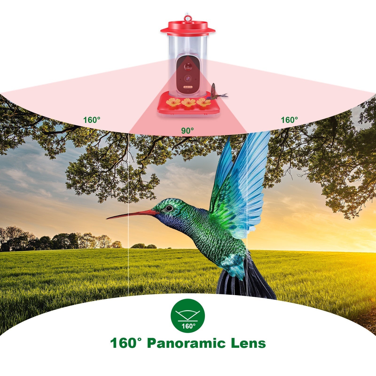 HKM-465555 Intelligent Visual Hummingbird Feeder with 5MP HD Camera and Solar Panel