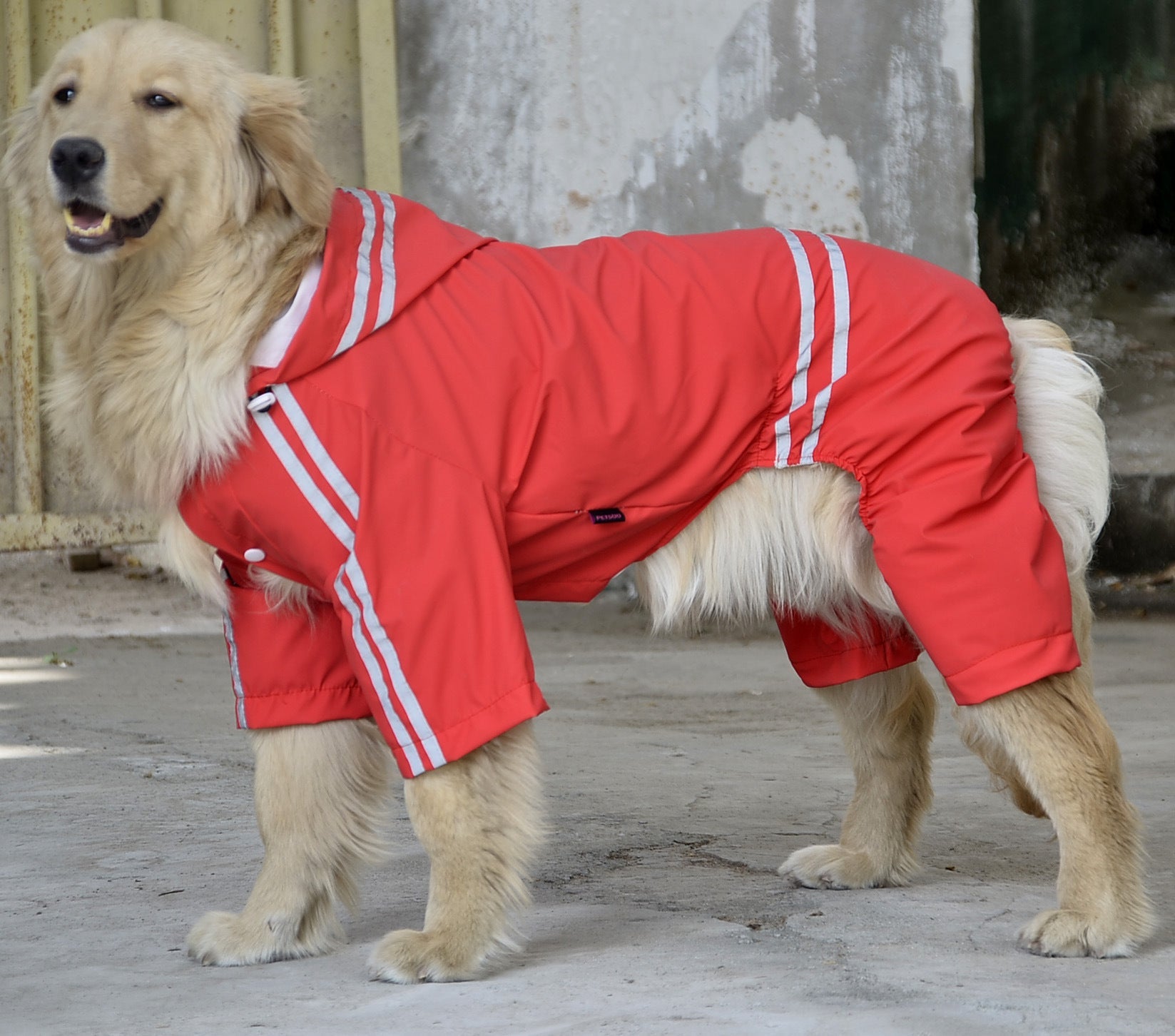HKM-466067 Large & Medium Dog Raincoat in Acrylic Material
