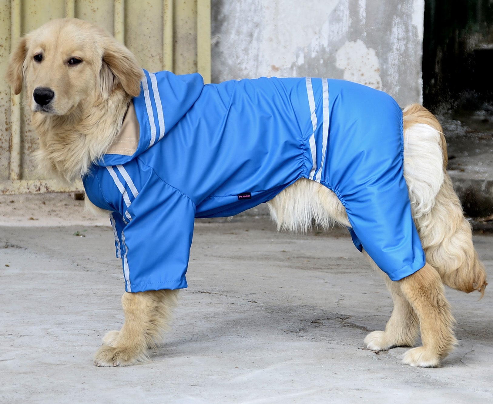 HKM-466067 Large & Medium Dog Raincoat in Acrylic Material