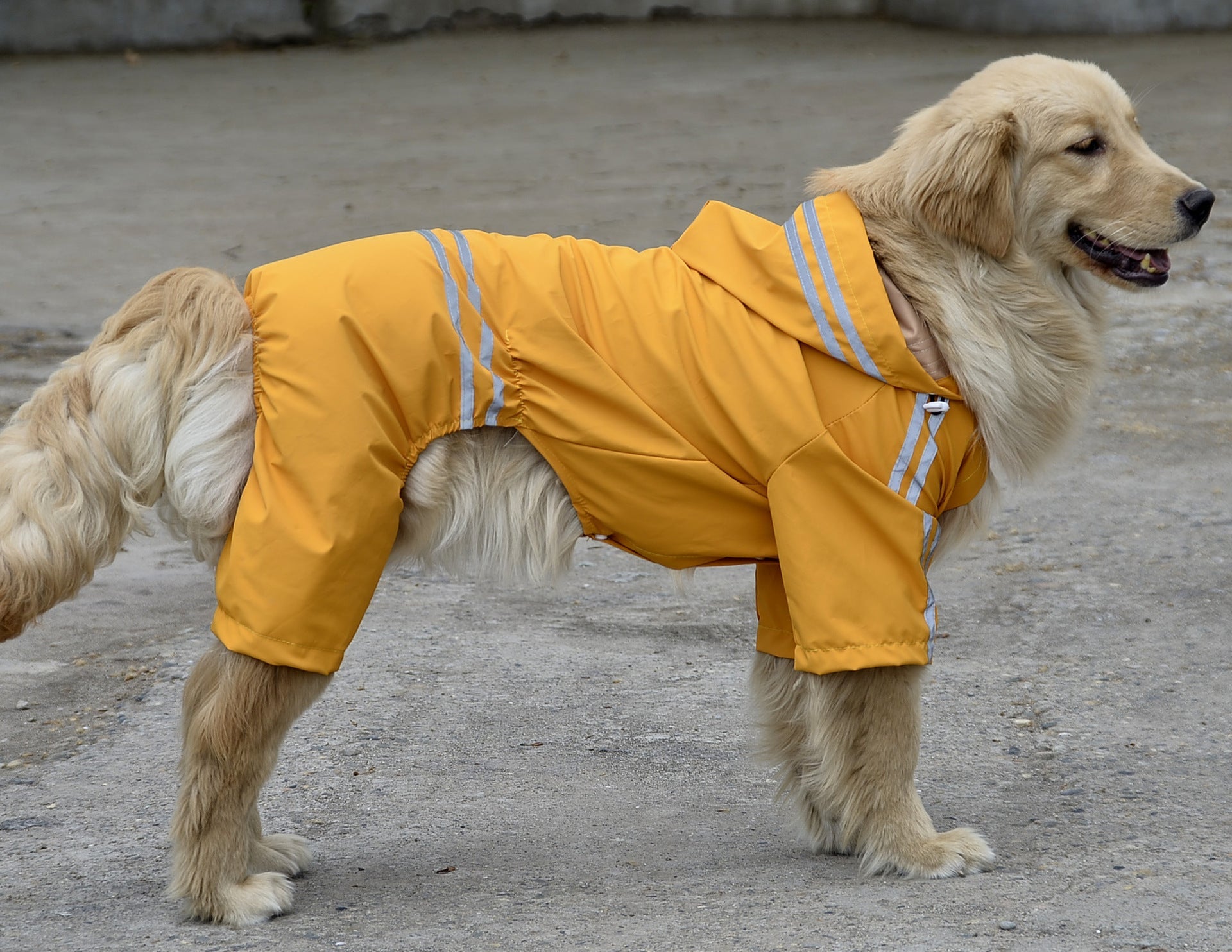 HKM-466067 Large & Medium Dog Raincoat in Acrylic Material
