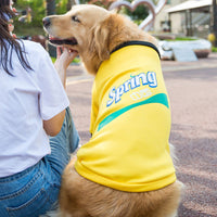 HKM-466707 Spring Fleece Sweater for Medium and Large Dogs, Milk Silk Fabric, Multiple Sizes Available