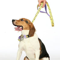 HKM-467411 Durable Yellow Polyester Webbing Traction Rope for Cats and Dogs, 120cm Length
