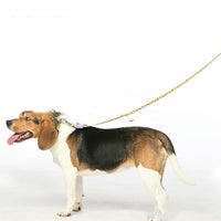 HKM-467411 Durable Yellow Polyester Webbing Traction Rope for Cats and Dogs, 120cm Length