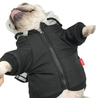 HKM-468371 Cute Two-Legged Pet Clothing for Cats & Small Dogs - Rainproof Silk, Soft Fabric, Available in Black & Red, Sizes M-4XL