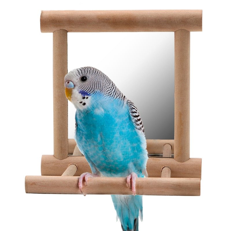 HKM-468691 Double-Sided Mirror Bird Stand for Parrots and Manna Pearls - Natural Solid Wood