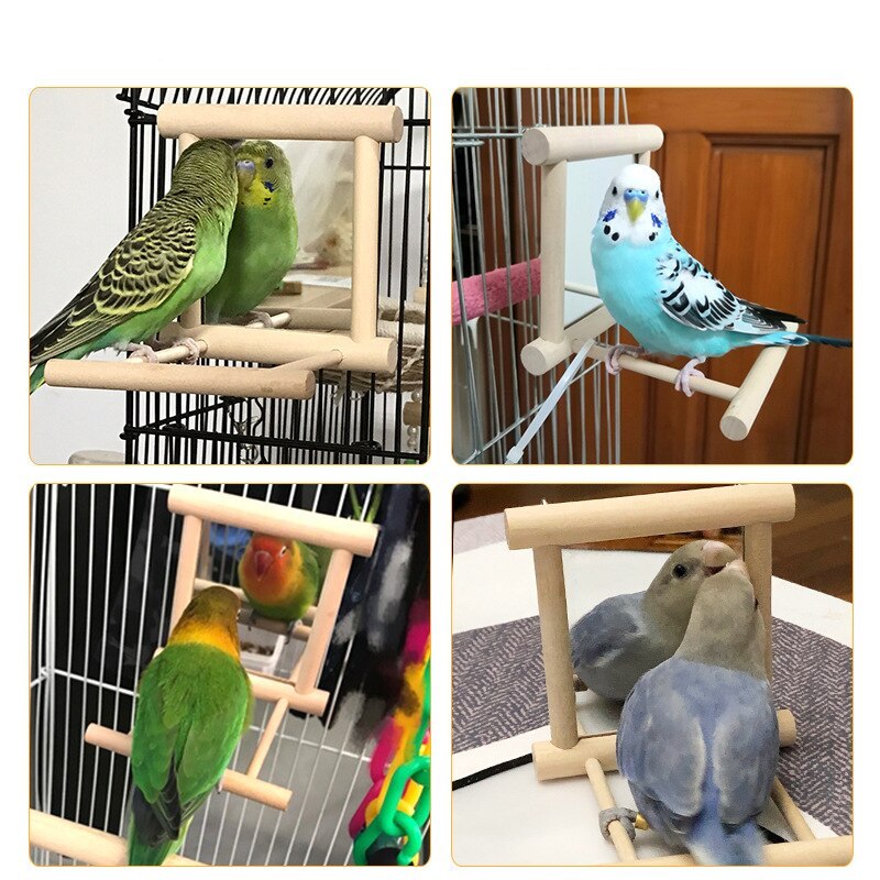 HKM-468691 Double-Sided Mirror Bird Stand for Parrots and Manna Pearls - Natural Solid Wood