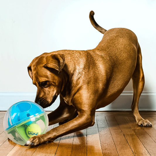 HKM-469203 Interactive Maze Squall Ball Dog Toy with Sound and Leaky Ballenticator