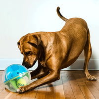 HKM-469203 Interactive Maze Squall Ball Dog Toy with Sound and Leaky Ballenticator
