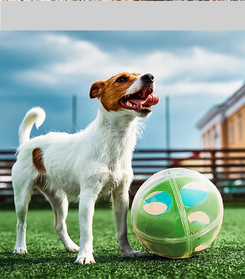 HKM-469203 Interactive Maze Squall Ball Dog Toy with Sound and Leaky Ballenticator