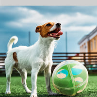 HKM-469203 Interactive Maze Squall Ball Dog Toy with Sound and Leaky Ballenticator