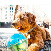 HKM-469203 Interactive Maze Squall Ball Dog Toy with Sound and Leaky Ballenticator