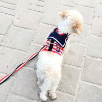 HKM-470099 Puppy Chest Strap Leash with Adjustable Dog Walking Rope, Available in Multiple Sizes