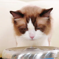 HKM-472083 Automatic Intelligent Water Dispenser with Filtered Reservoir and Wireless Design