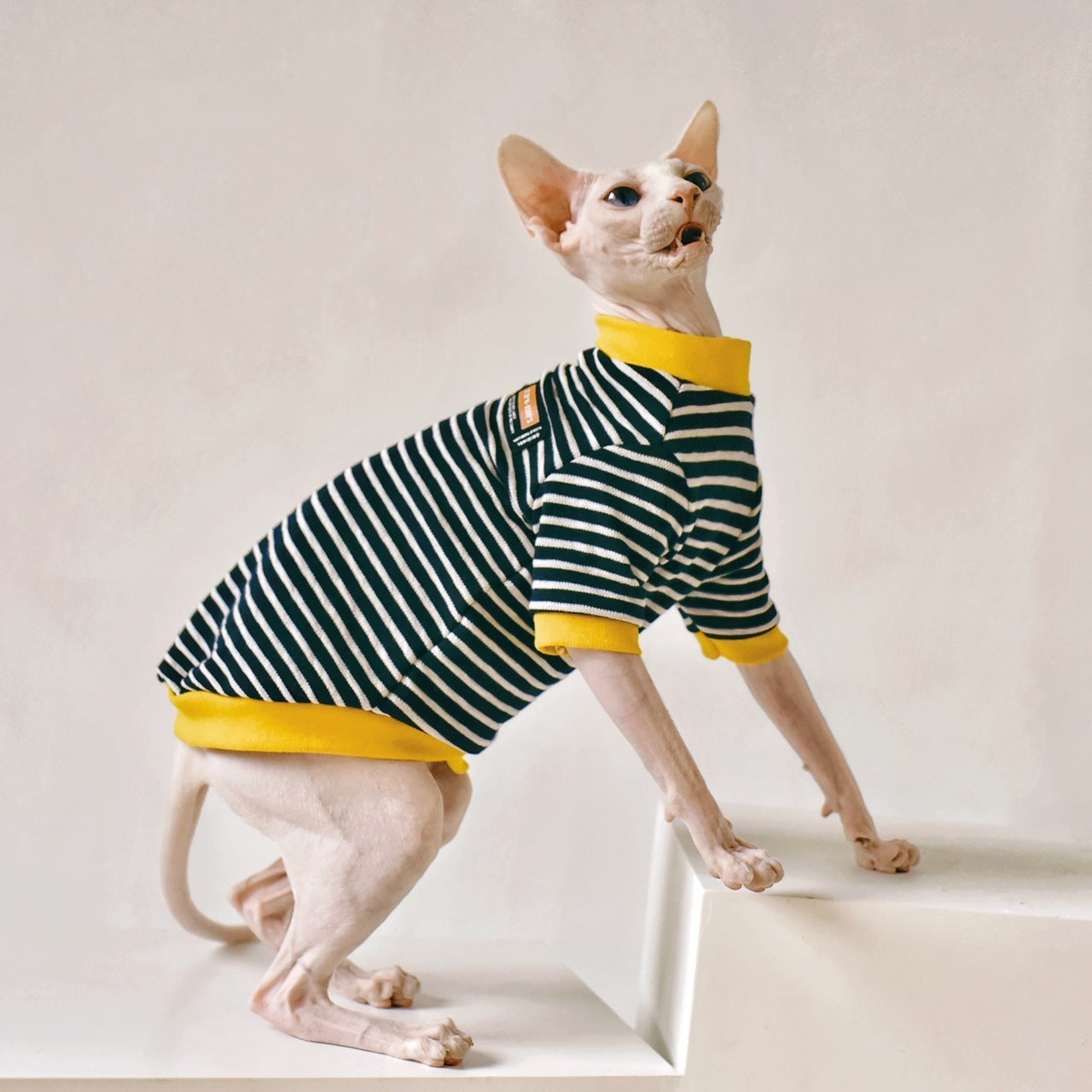 HKM-474003 Sphinx Hairless Cat Clothing in Black - Cotton European-American Style, Sizes XS to XXL