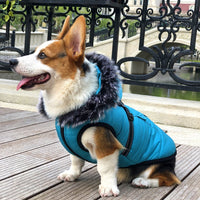 HKM-474195 Thickened Winter Cotton Vest with Warm Fur Collar for Dogs in Rose and Blue-Green