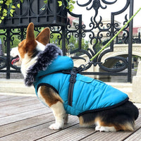HKM-474195 Thickened Winter Cotton Vest with Warm Fur Collar for Dogs in Rose and Blue-Green