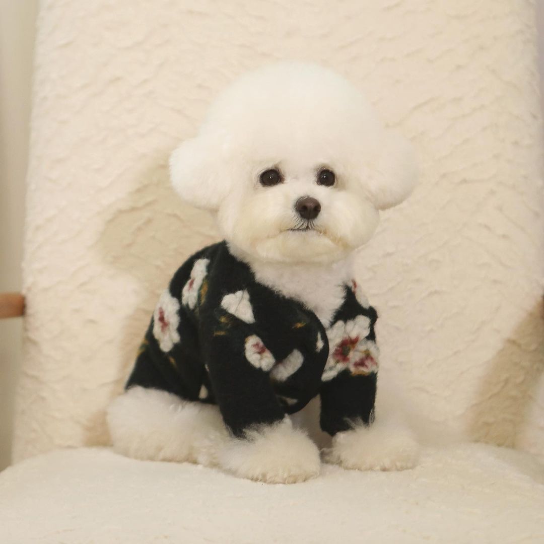 HKM-477075 Lamb Wool Flower Design Dog Sweater in Khaki and Black Options