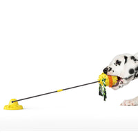 HKM-478419 Powerful Sucker Resistant To Biting Ball Dog Toy
