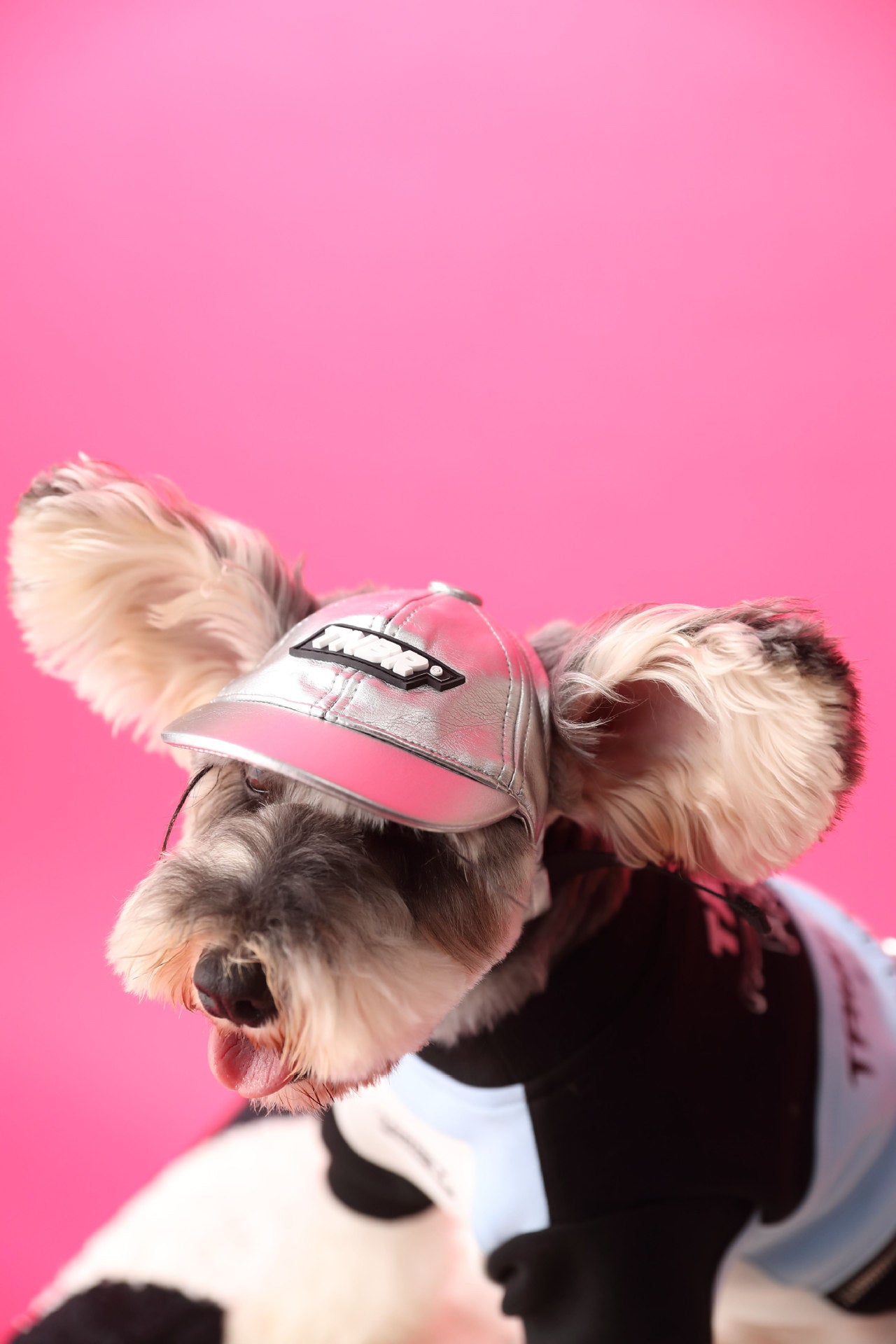 HKM-479379 Cute Cotton Zipper Pullover Sweater for Dogs in Pink and Blue