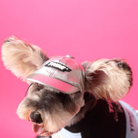 HKM-479379 Cute Cotton Zipper Pullover Sweater for Dogs in Pink and Blue