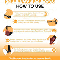 HKM-479827 Dog Knee Brace with Auxiliary Belt for Joint Support and Protection
