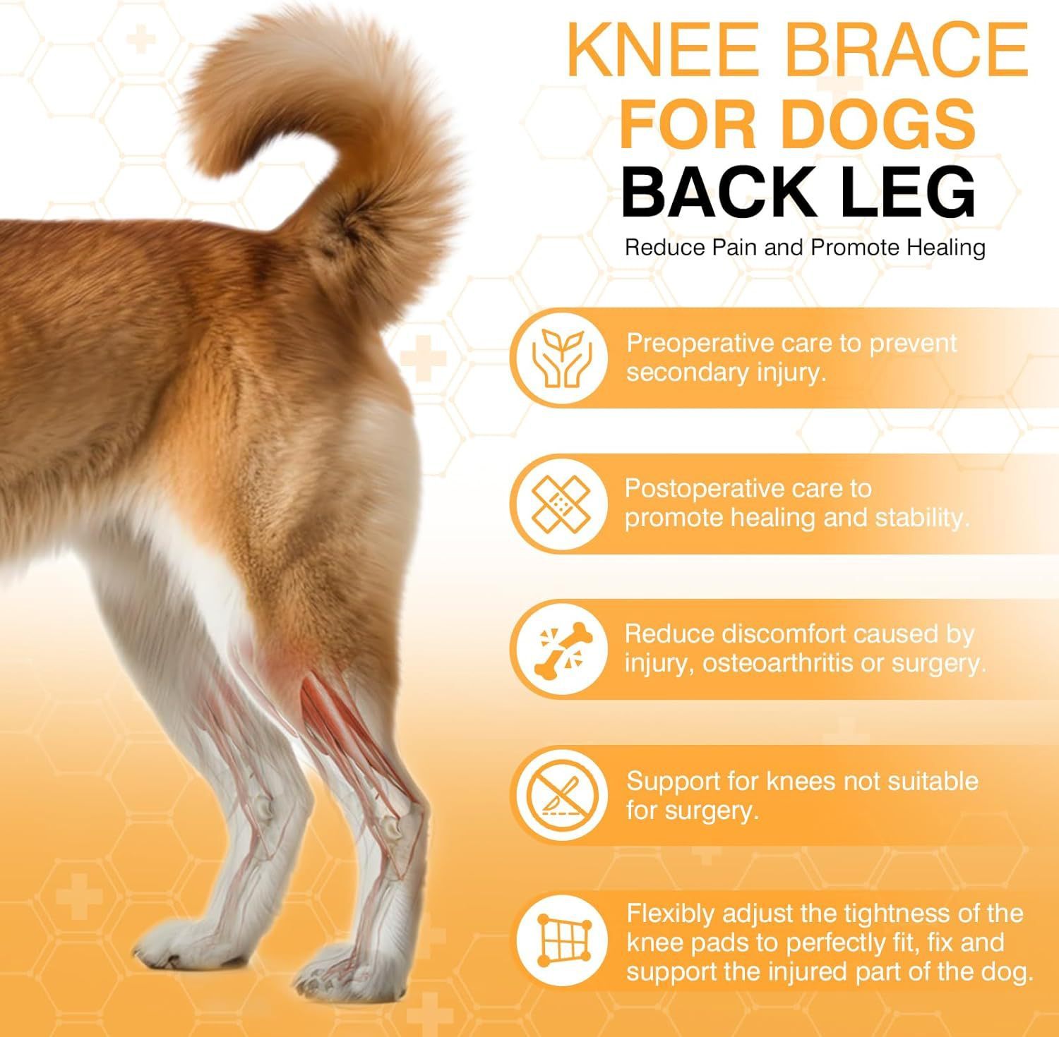 HKM-479827 Dog Knee Brace with Auxiliary Belt for Joint Support and Protection