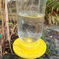 HKM-481363 Hummingbird Bee Feeding Bird Feeder in Vibrant Colors, 17*17*19cm