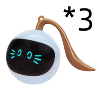 HKM-481875 Two Lucky Raccoons Fitness Ball Cat Toy