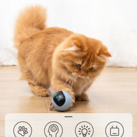 HKM-481875 Two Lucky Raccoons Fitness Ball Cat Toy