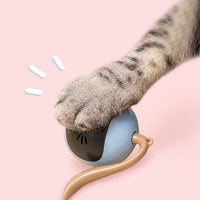 HKM-481875 Two Lucky Raccoons Fitness Ball Cat Toy
