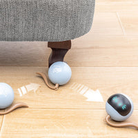 HKM-481875 Two Lucky Raccoons Fitness Ball Cat Toy