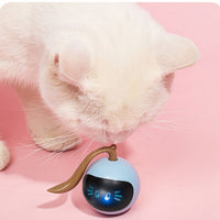 HKM-481875 Two Lucky Raccoons Fitness Ball Cat Toy