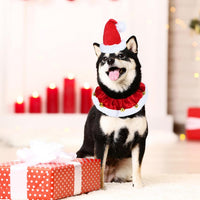 HKM-483283 Christmas Dog Collar with Bells - Soft Red and White Holiday Neckwear for Small to Large Dogs