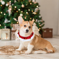 HKM-483283 Christmas Dog Collar with Bells - Soft Red and White Holiday Neckwear for Small to Large Dogs