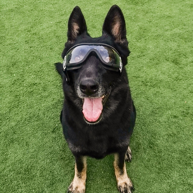 HKM-483411 Large Dog UV Protection Sunglasses with Waterproof Design