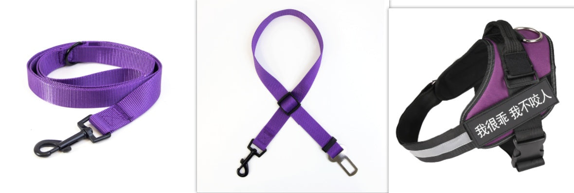 HKM-483923 Sturdy Adjustable Nylon Dog Leash with Reflective Design and Durable Stainless Steel Connection