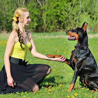 HKM-484243 3280FT Waterproof Dog Training Collar with Beep, Vibration, and Shock Modes