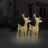 HKM-484371 Warm White Acrylic LED Reindeer Set - 80 LEDs, 18 x 8.5 x 55 cm, Indoor/Outdoor Christmas Decor