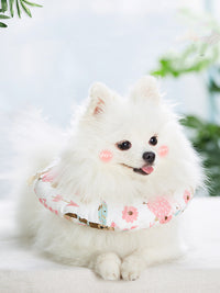 HKM-485267 Dog soft loop cat neck set