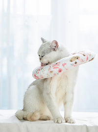 HKM-485267 Dog soft loop cat neck set