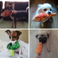 HKM-487699 Creative Vegetable Drumstick Chew Toy for Dogs and Cats - Squeaky and Fun Pet Playtime Accessory