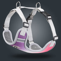 HKM-488211 Gradient Color Reflective Dog Chest and Back Harness - Adjustable Polyester Strap
