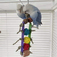 HKM-488467 Creative Parrot Corn Cob Bite String Wooden Bite Toy