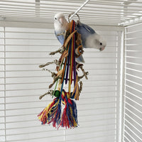 HKM-488467 Creative Parrot Corn Cob Bite String Wooden Bite Toy