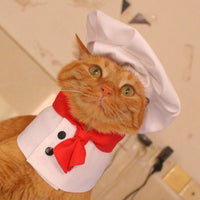 HKM-489171 Pet Outfit with Hat and Scarf - White, Sizes S to L, Ideal for Dressing Up Pets