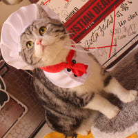 HKM-489171 Pet Outfit with Hat and Scarf - White, Sizes S to L, Ideal for Dressing Up Pets